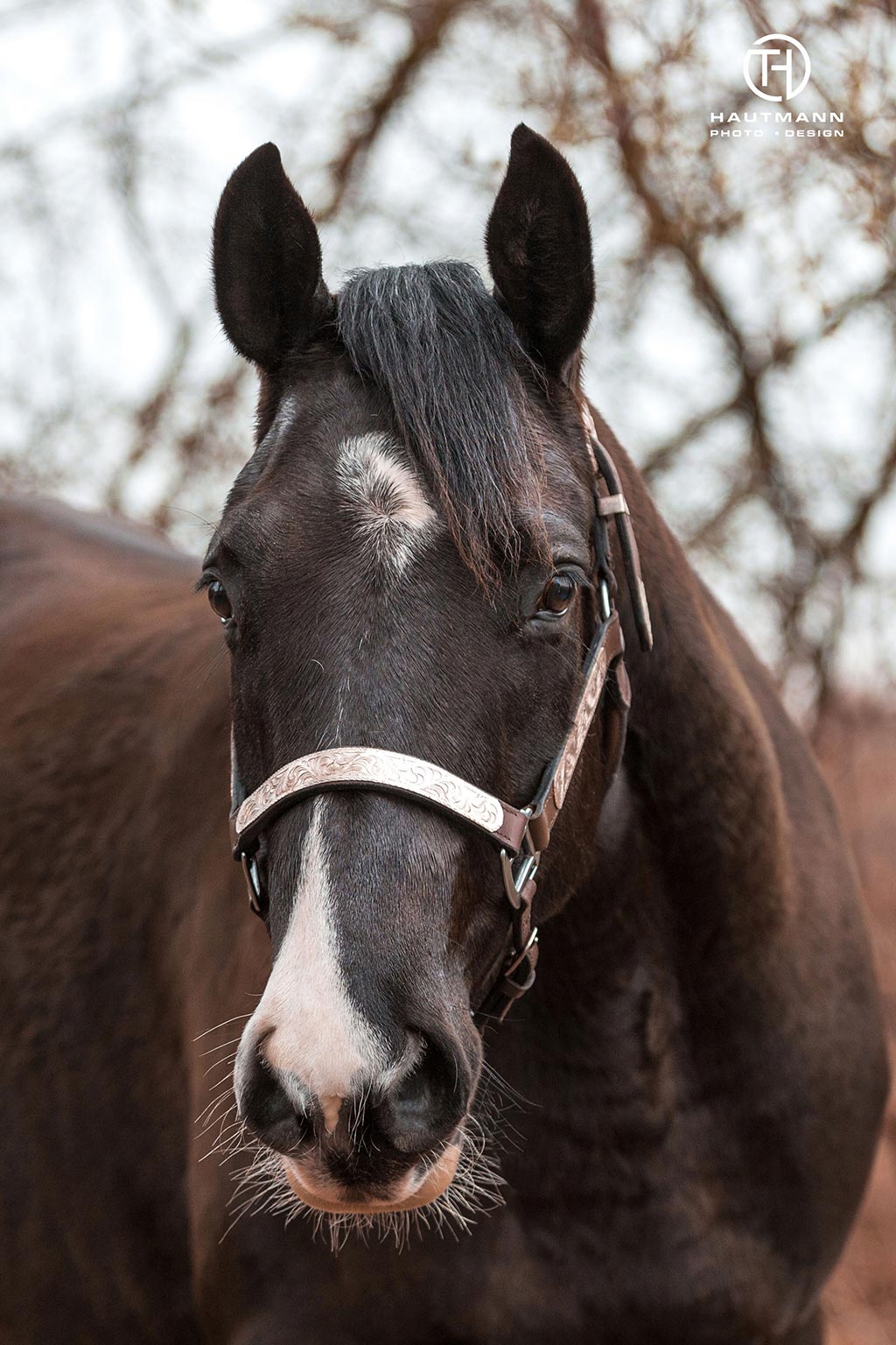 Torsten Gärtner und Tom Hautmann