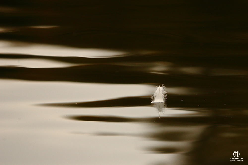 Feder auf Wasseroberfläche