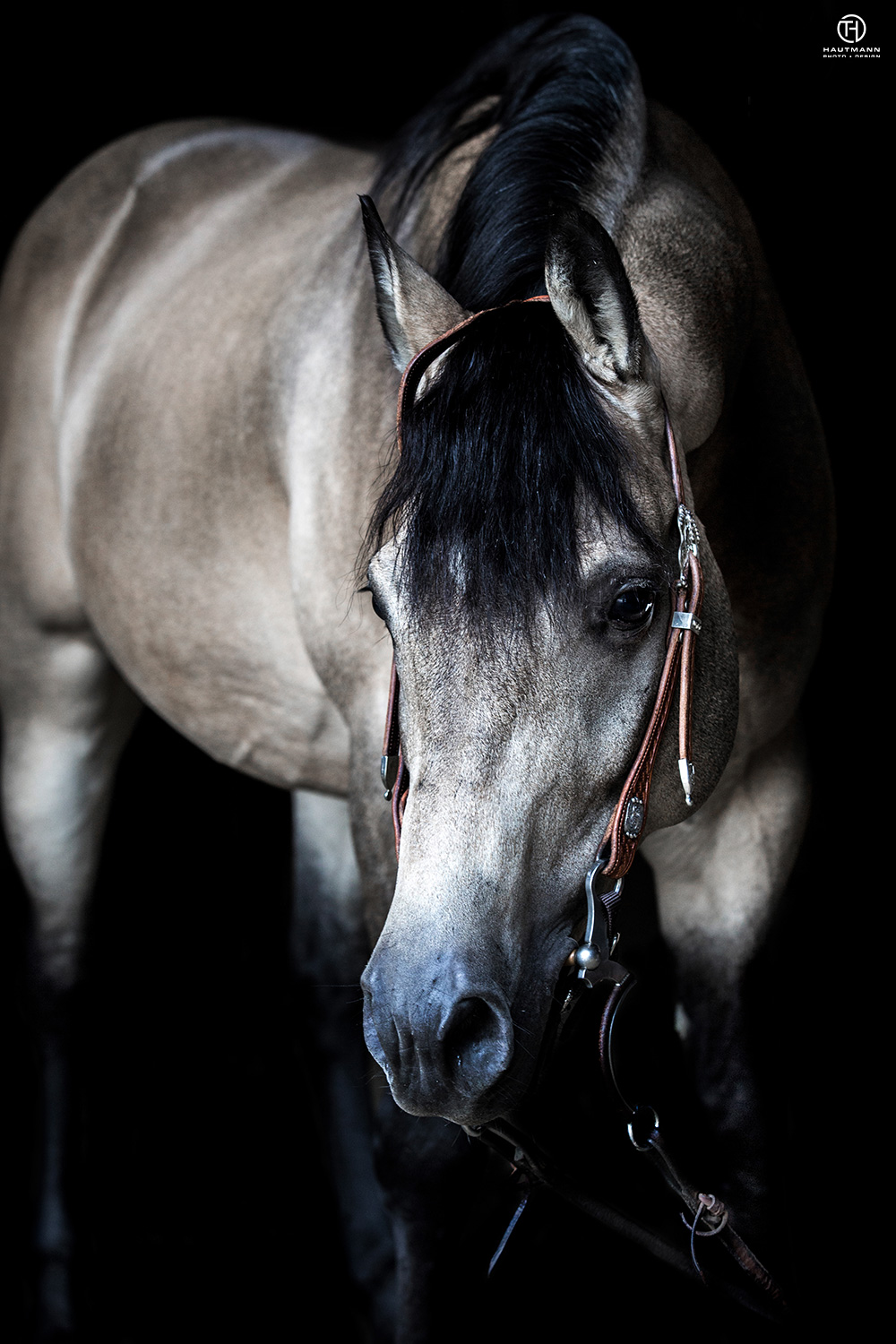 Lilpeppy Dun It Right schwarzer Hintergrund