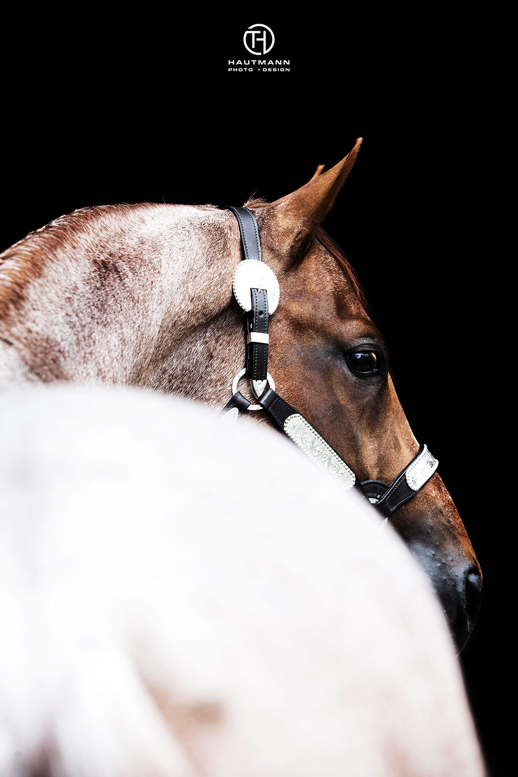 Aint It The Blues Nachkommen