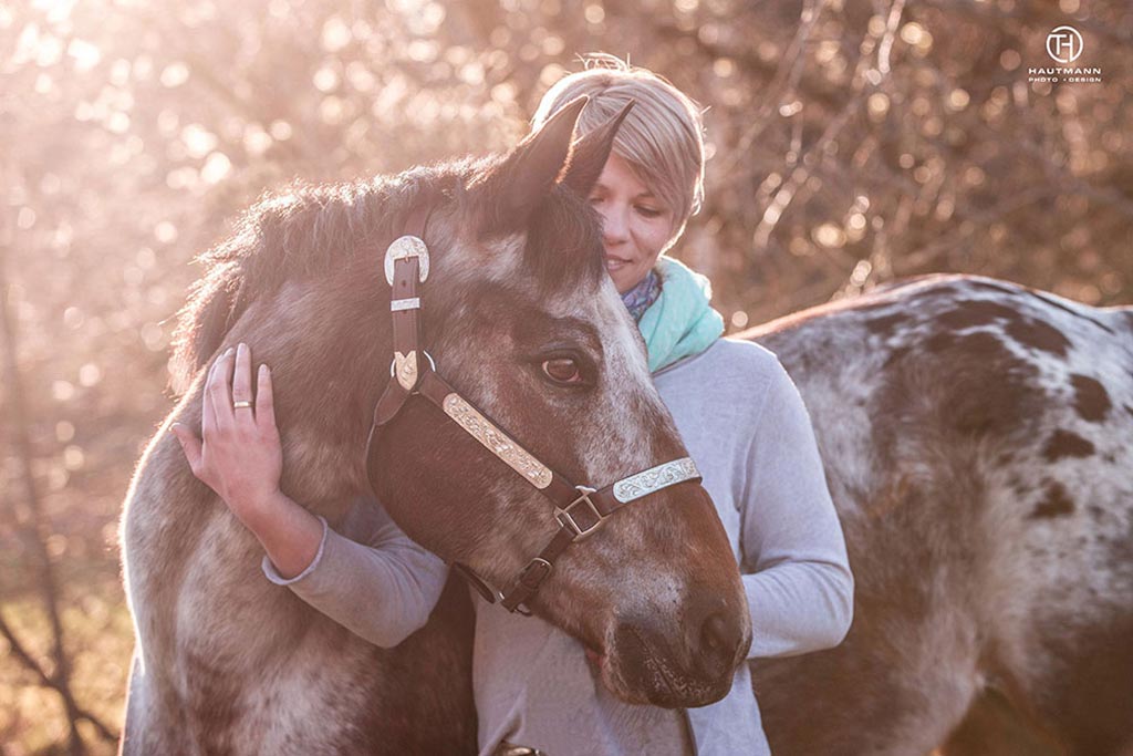 Pferdefotoshooting Abendstunden