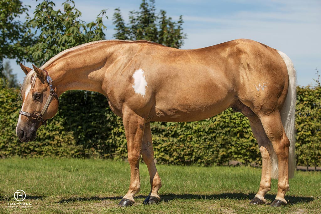 Dun It With A Splash