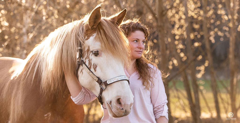 Criollo Stute Gegenlicht