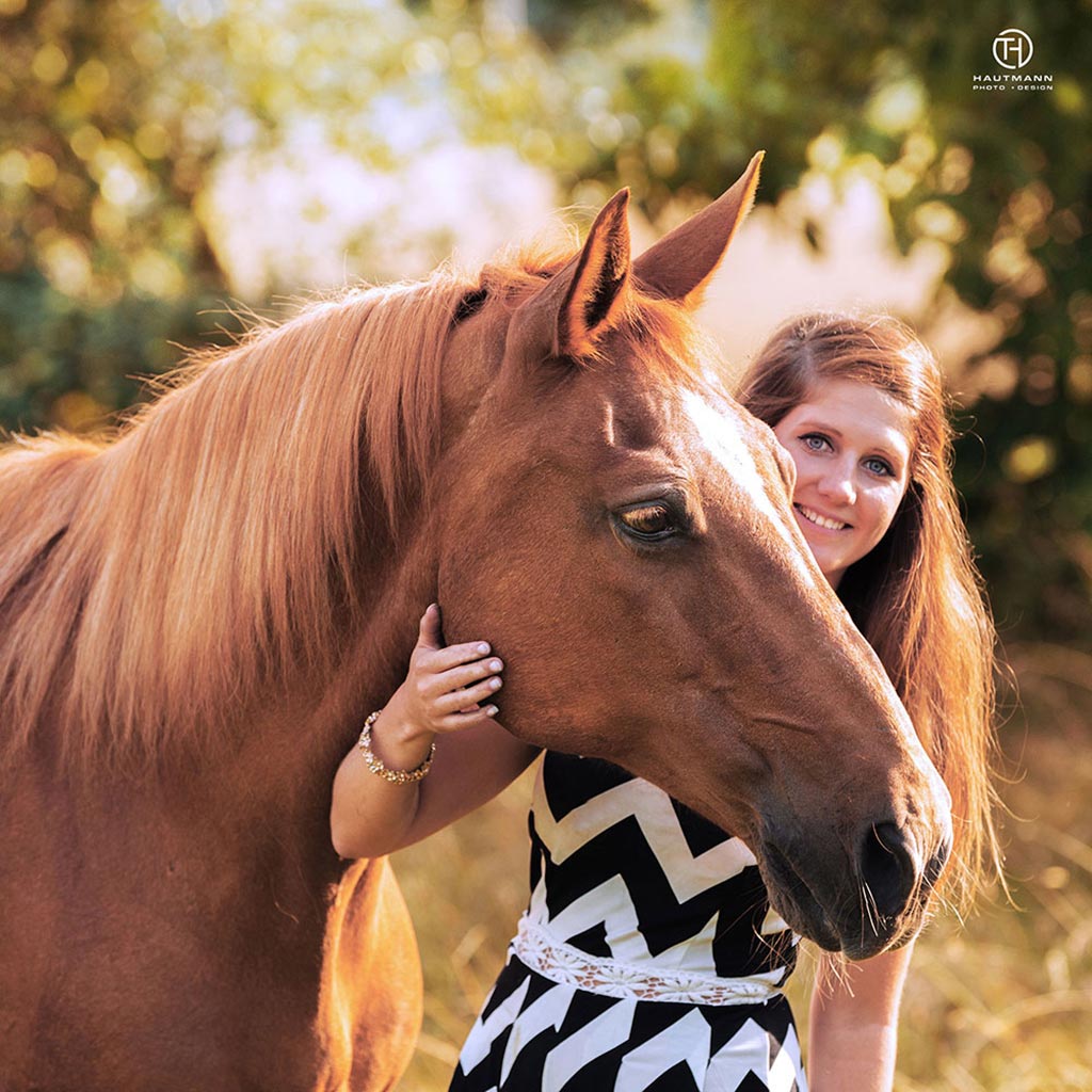 Pferdefoto im Gegenlicht