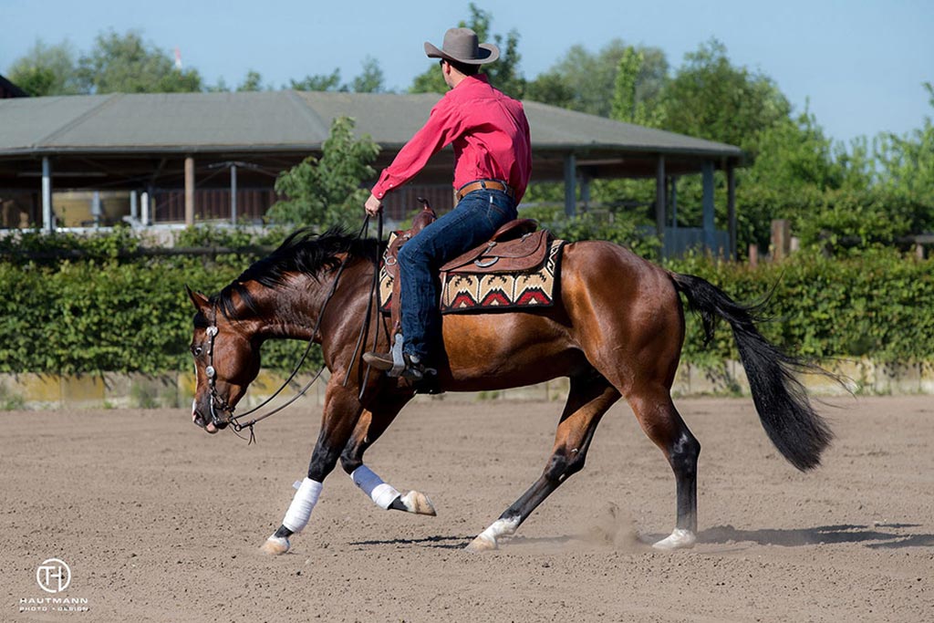 Daniel Klein Reining