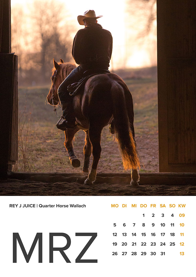 Pferd Sonnenuntergang