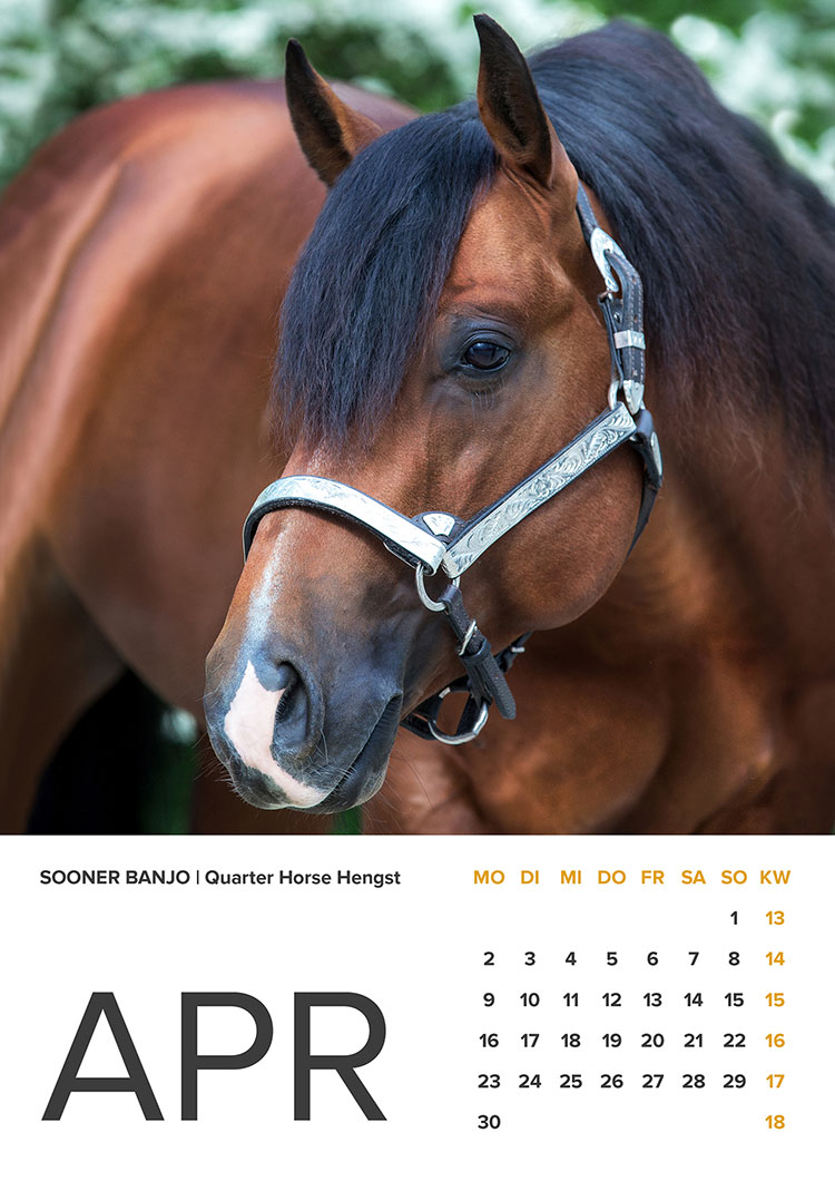 Fotoshooting Pferd Blüten