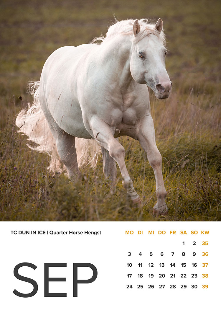 TC Dun In Ice Kalender