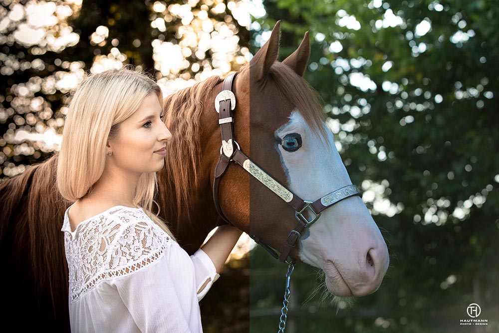 Quarter Horse Bildbearbeitung