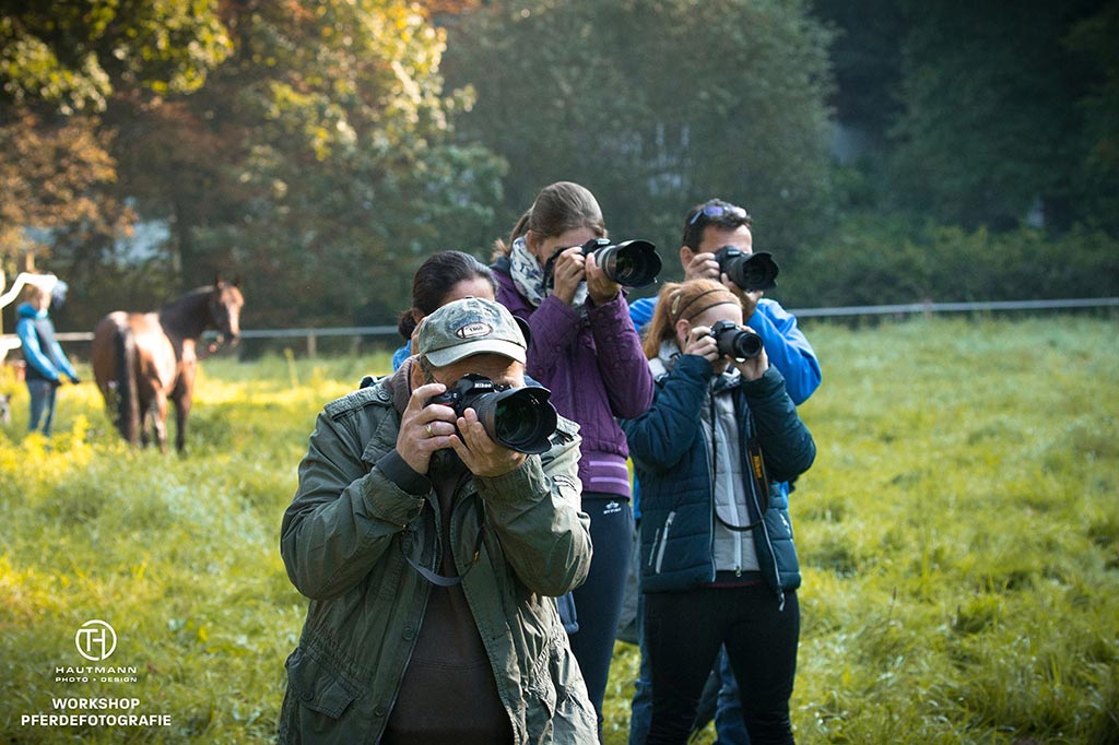 Pferdefotografie Workshop Koppel