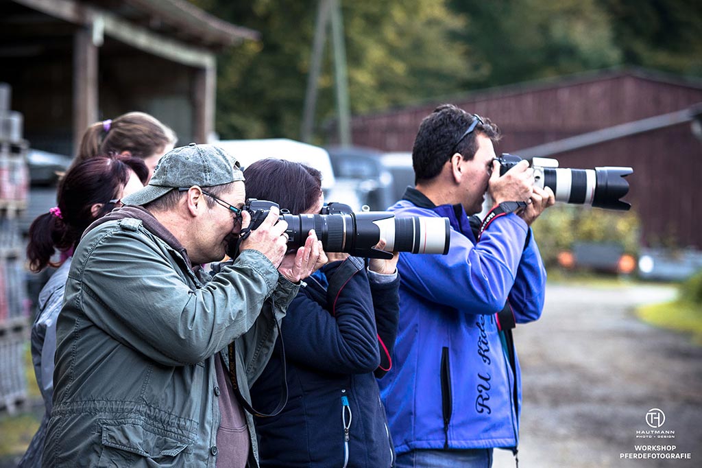 Pferd vor schwarzem Hintergrund