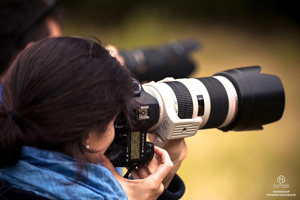 Pferdefotografie Kurs Praxis