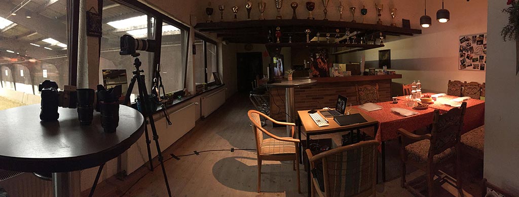 Kurs Pferdefotografie Theorie