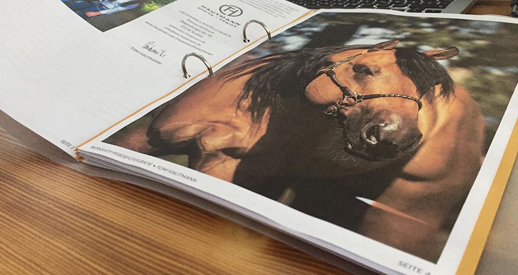 Workshop Pferdefotografie Script