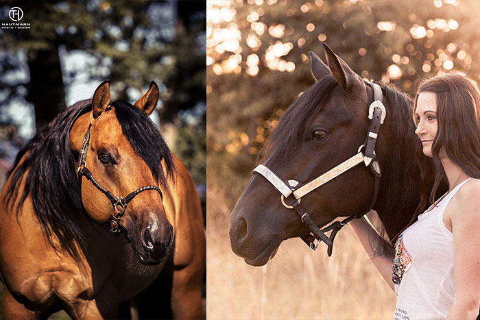 Promotion Fotoshooting und Emotionales Fotoshooting