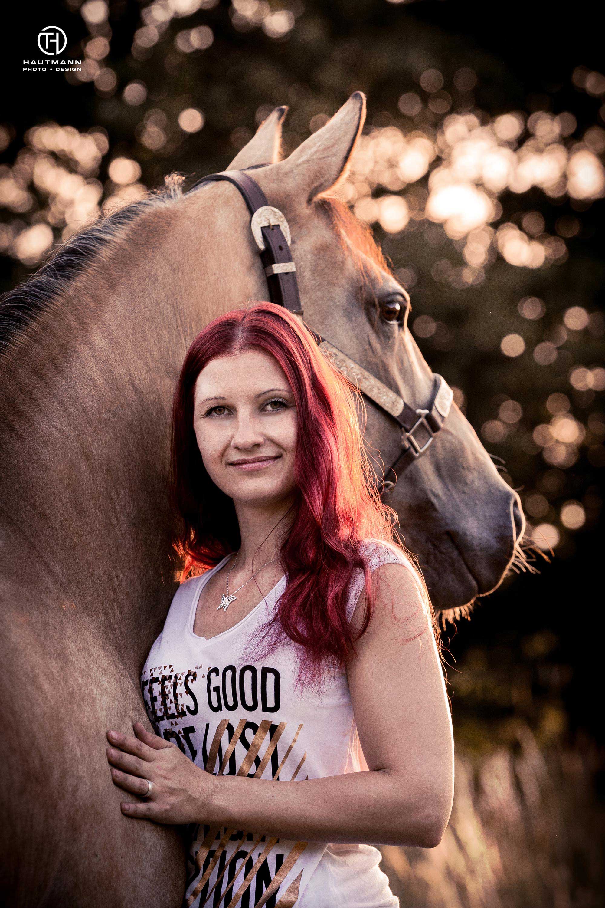 Quarter Horse Stute Sonnenuntergang